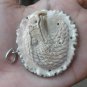 Bali Pendant Necklace EAGLE HEAD From Deer Antler Carving w/ Silver Bail 925_r125