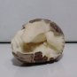 Bali Netsuke Crocodille Aligator EGG Statue From Tagua Nut Carving Table Decor_q948