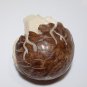 Bali Netsuke Crocodille Aligator EGG Statue From Tagua Nut Carving Table Decor_q948