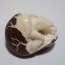 Bali Netsuke TURTLE EGG Statue From Tagua Nut Carving Table Decor_q947