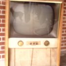 motorola television