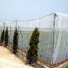 Plastic Agriculture Shading