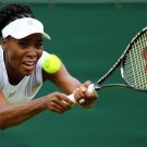 012 - 8 X 6 Photo - Tennis - Wimbledon Championship 2014 - Day 1 -  Venus Williams