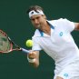030 - 8 x 6 Photo - Tennis - Wimbledon Championship 2014 - Day 3 - David Ferrer