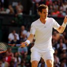 049 - 8 X 6 Photo - Tennis - Wimbledon Championship 2014 - Day 5 -  Andy Murray