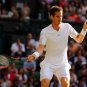 049 - 8 X 6 Photo - Tennis - Wimbledon Championship 2014 - Day 5 -  Andy Murray