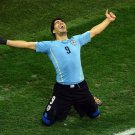 WC 0160 - 8 X 6 Photo - Football - FIFA World Cup 2014 - England V Uruguay - Luis Suarez Celebrating