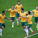 WC 0185 - 8 X 6 Photo - Football - FIFA World Cup 2014 - Holland V Australia - Jedinak Celebration