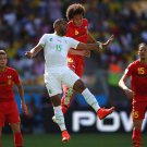 WC 0220 - 8 X 6 Photo - Football - FIFA World Cup 2014 - Belgium V Algeria - Fellaini