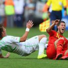 WC 0223 - 8 X 6 Photo - Football - FIFA World Cup 2014 - Belgium V Algeria