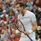 064 - 8 X 6 Photo - Tennis - Wimbledon Championship 2014 - Day 7 - Andy Murray
