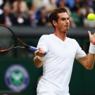 066 - 8 X 6 Photo - Tennis - Wimbledon Championship 2014 - Day 7 - Andy Murray