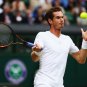 066 - 8 X 6 Photo - Tennis - Wimbledon Championship 2014 - Day 7 - Andy Murray