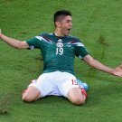 263 - 8 X 6 Photo - Football - FIFA World Cup 2014 - Mexico V Cameroon