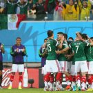 264 - 8 X 6 Photo - Football - FIFA World Cup 2014 - Mexico V Cameroon