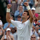 099 - 8 X 6 Photo - Tennis - Wimbledon Championship 2014 - Day 9 - Novak Djokovic