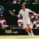 106 - 8 X 6 Photo - Tennis - Wimbledon Championship 2014 - Day 9 - Andy Murray In Action