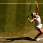 112 - 8 X 6 Photo - Tennis - Wimbledon Championship 2014 - Ladies Semi-Finals - Bouchard V Halep