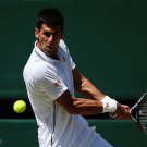 127 - 8 X 6 Photo - Tennis - Wimbledon Championship 2014 - Mens Semi Finals - Novak Djokovic