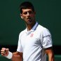 128 - 8 X 6 Photo - Tennis - Wimbledon Championship 2014 - Mens Semi Finals - Novak Djokovic