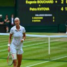 146 - 8 X 6 Photo -Tennis - Wimbledon Championships 2014 - Ladies Final - Kvitova V Bouchard