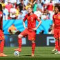 583 - 8 X 6 Photo - Football - FIFA World Cup 2014 - Argentina V Belgium - Belgium Restart