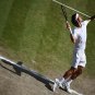 164 - 8 X 6 Photo - Tennis - Wimbledon Championship 2014 - Mens Final - Federer V Djokovic