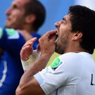 350 -  8 X 6 Photo - Football - FIFA World Cup 2014 - Chellini & Suarez