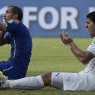 356 -  8 X 6 Photo - Football - FIFA World Cup 2014 -  Chellini & Suarez
