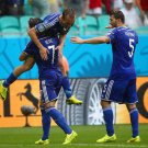 372 - 8 x 6 Photo - Football - FIFA World Cup 2014 - Iran v Bosnia  Avdija Vrsajevic