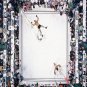 014 - 12 X 8 Photo - Boxing - Classic Muhammad Ali -   Muhammad Ali Cleveland Williams
