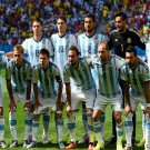 043 - 12 x 8 - 2014 World Cup Finalists - Argentina
