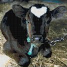 BABY ANGUS COW CROSS STITCH PATTERN PDF ONLY