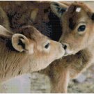 BABY CALF PAIR CROSS STITCH PATTERN PDF ONLY