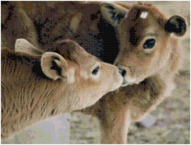 BABY CALF PAIR CROSS STITCH PATTERN PDF ONLY