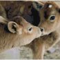 BABY CALF PAIR CROSS STITCH PATTERN PDF ONLY