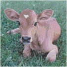 BABY JERSEY COW CROSS STITCH PATTERN PDF ONLY