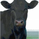 BLACK ANGUS COW CROSS STITCH PATTERN PDF ONLY