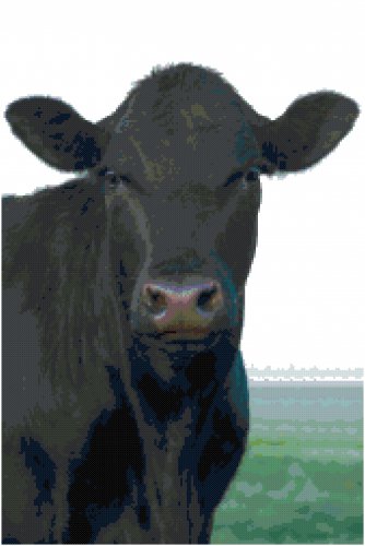 BLACK ANGUS COW CROSS STITCH PATTERN PDF ONLY