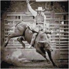 BULLRIDER CROSS STITCH PATTERN PDF ONLY