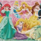 DISNEY PRINCESS #13 CROSS STITCH PATTERN PDF ONLY
