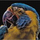 FRACTAL PARROT CROSS STITCH PATTERN PDF ONLY