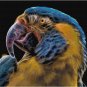 FRACTAL PARROT CROSS STITCH PATTERN PDF ONLY