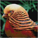 GOLDEN PHEASANT CROSS STITCH PATTERN PDF ONLY