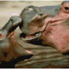 MAMA HIPPO AND BABY #1 CROSS STITCH PATTERN PDF ONLY