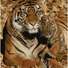 MAMA TIGER AND BABY #1 CROSS STITCH PATTERN PDF ONLY