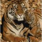 MAMA TIGER AND BABY #1 CROSS STITCH PATTERN PDF ONLY