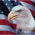 PATRIOTIC EAGLE CROSS STITCH PATTERN PDF ONLY