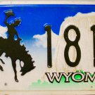 2007 Wyoming License Plate (4 181G)