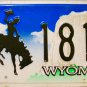 2007 Wyoming License Plate (4 181G)